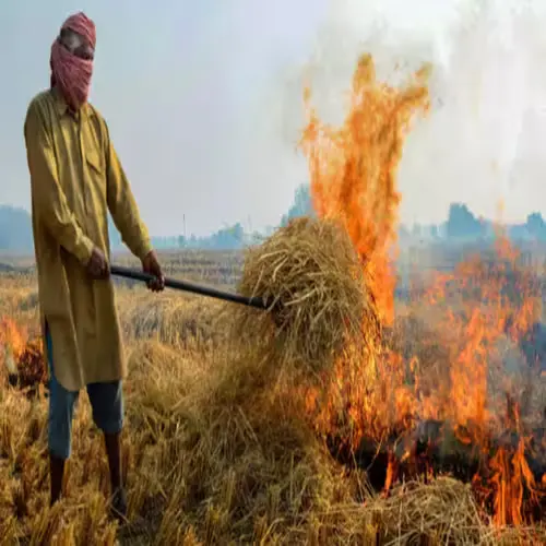 पराली संकट : अनियंत्रित जीवनशैली और नीतियों का परिणाम